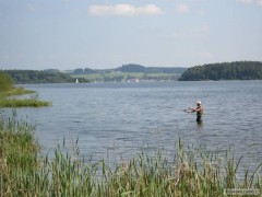 Kliknutím fotografii zvětšíte Lipno