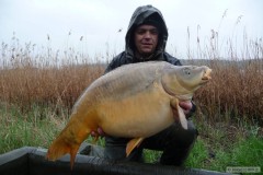 17,8 kg