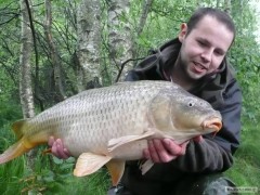 jarní kapřík