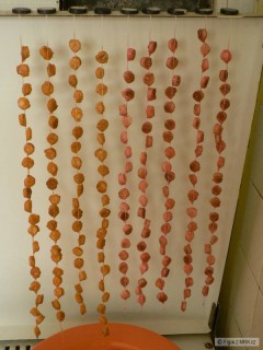 Kliknutím fotografii zvětšíte Rohlíkáče domácí