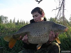 11.5 kg