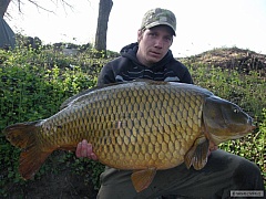15 kg