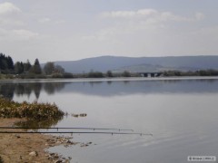 Kliknutím fotografii zvětšíte Lipno