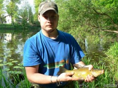 Kliknutím fotografii zvětšíte Línek 38cm