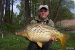 Kliknutím fotografii zvětšíte kapr 81cm a 10,10kg