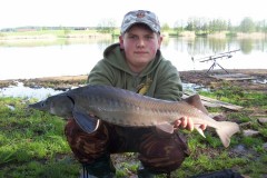 Kliknutím fotografii zvětšíte jeseter 79cm a 3kg
