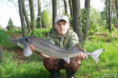 Kliknutím fotografii zvětšíte jeseter 102cm a 5,60kg
