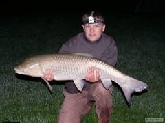 am�r 97cm 11 kg