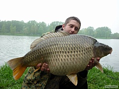 koblov 76 cm, 14 kg
