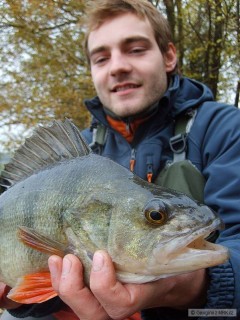 Kliknutím fotografii zvětšíte z pískovny 2009