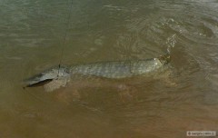 Kliknutím fotografii zvětšíte soukromák 2010