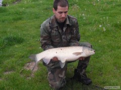 Amur 80cm