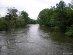 Dyje kv�ten2010
