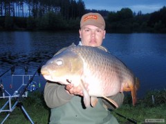 Kliknutím fotografii zvětšíte kapr 82cm 15,5kg