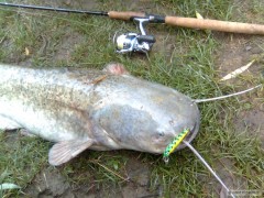 Sumec 125 cm 