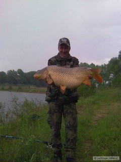 Kliknutím fotografii zvětšíte Tátův osobák 87cm 16,5Kg