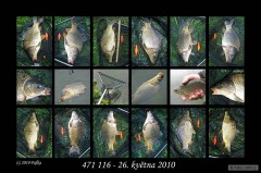 Kliknutím fotografii zvětšíte Fishing in the rain ;-)