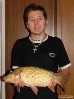 Kliknutím fotografii zvětšíte Kapor 54 cm