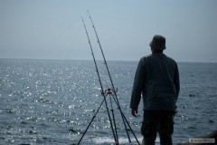 Kliknutím fotografii zvětšíte sea fishing