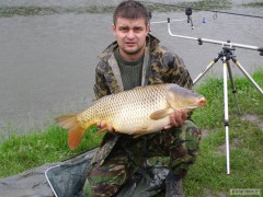 kapr 10kg
