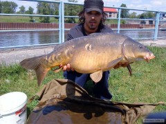 Labe