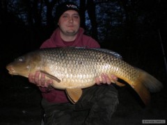 Kliknutím fotografii zvětšíte 2010