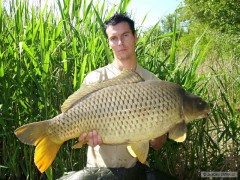 Kliknutím fotografii zvětšíte Carp