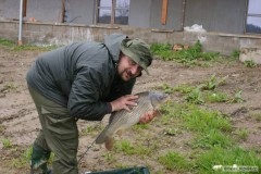 Kliknutím fotografii zvětšíte Kapr 63cm 4,5kg