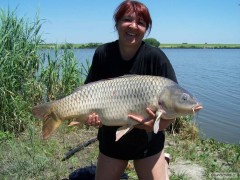 Kliknutím fotografii zvětšíte Merenye 95cm, 13,25kg