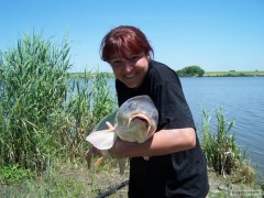 Kliknutím fotografii zvětšíte Merenye 95cm, 13,25kg