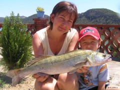Kliknutím fotografii zvětšíte Candát - Ebro 2010