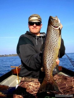 Kliknutím fotografii zvětšíte Lake Ferox trout