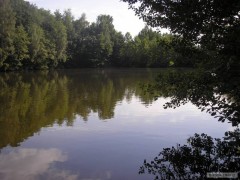 Kliknutím fotografii zvětšíte fryšták-skalka