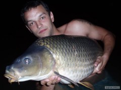 LB carp