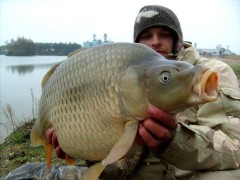 carp LB