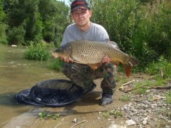 Kliknutím fotografii zvětšíte K70cm7kg