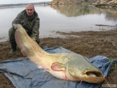 Kliknutím fotografii zvětšíte 220 cm, 73 kg