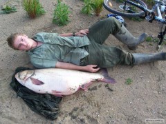 Kliknutím fotografii zvětšíte Tolstolobik 110cm 23kg