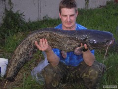 Kliknutím fotografii zvětšíte Letošní MAZEL 123, 18 kg