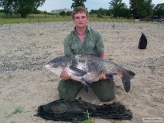Kliknutím fotografii zvětšíte Tolstolobec 120cm 22kg