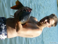 Kliknutím fotografii zvětšíte kapr 80cm 13,5kg