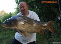Kliknutím fotografii zvětšíte svazovka 87cm