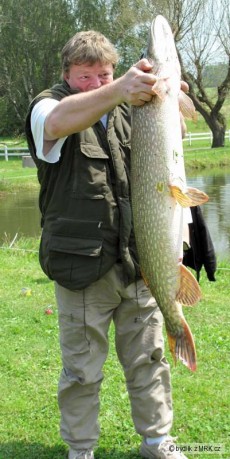 Kliknutím fotografii zvětšíte 103 cm , 10,5 kg