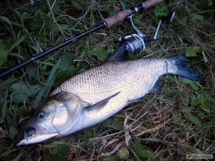 Lep�� bolen 60+