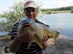 Kliknutím fotografii zvětšíte kapřík 80cm 9,5kg
