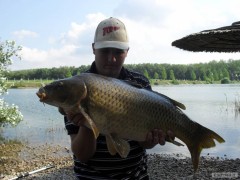 Kliknutím fotografii zvětšíte kapřík 80cm 9,5kg