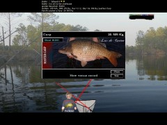 Kliknutím fotografii zvětšíte Carp
