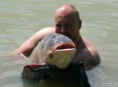 Kliknutím fotografii zvětšíte TOLSTOLOBIK 126cm 34kg