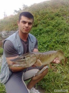 Kliknutím fotografii zvětšíte šťuka 86cm