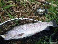 A druh� 40+